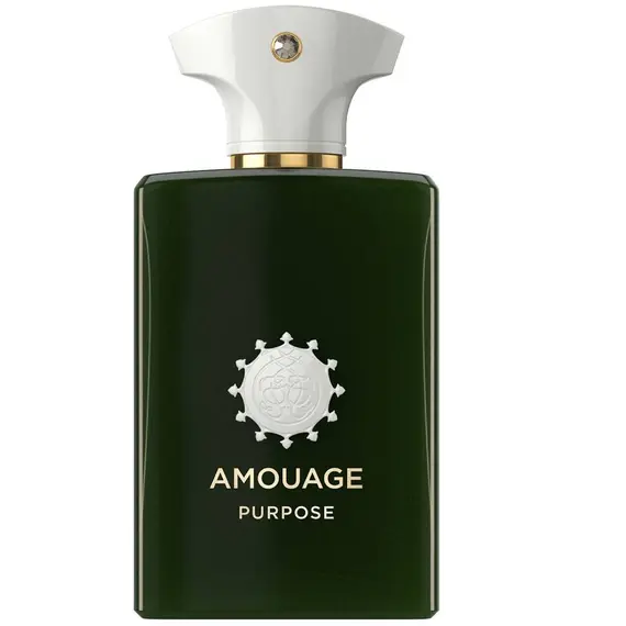 Amouage Purpose Eau De Parfum 100ml